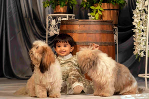 Revolutionizing Bridal Wears: Where Fashion Meets Affordability!