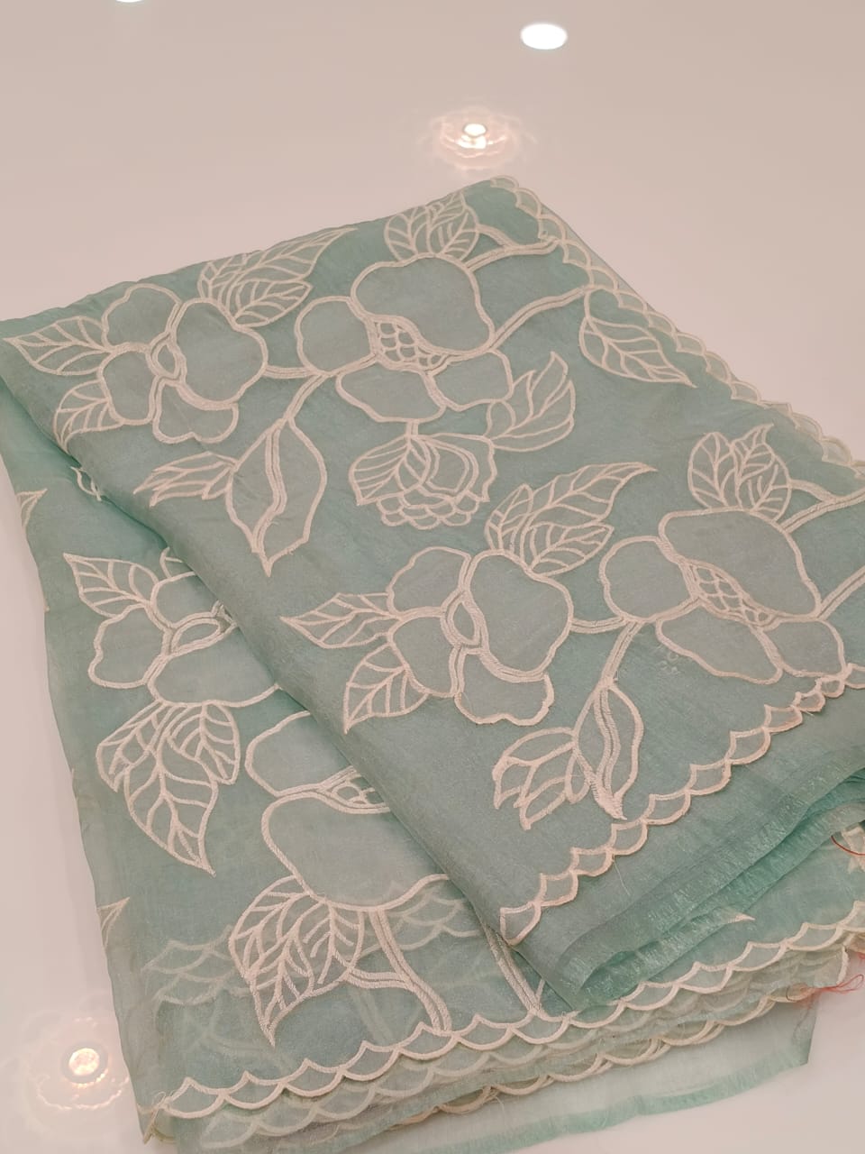 Organza   Saree  - Search code 2010