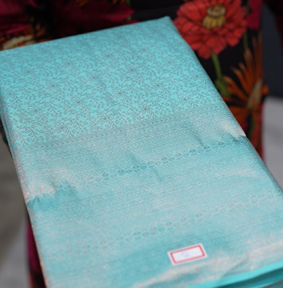 KANCHIPURAM SAREE -Powder blue shade Search code 7673