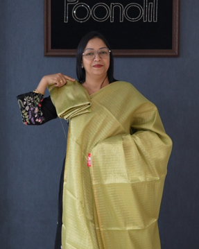 Tissue Saree- Green Color search code 4093