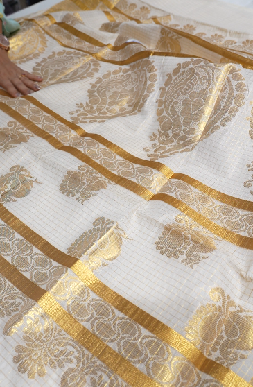 KERALA  SAREE  - Golden  color -Tissue Search code 5601